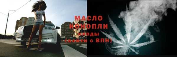 гидра Тавда