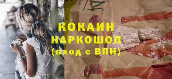 гидра Тында