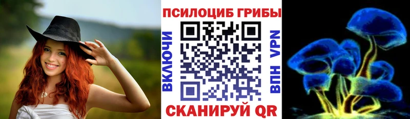 ссылка на мегу зеркало  Волоколамск  Псилоцибиновые грибы мухоморы 