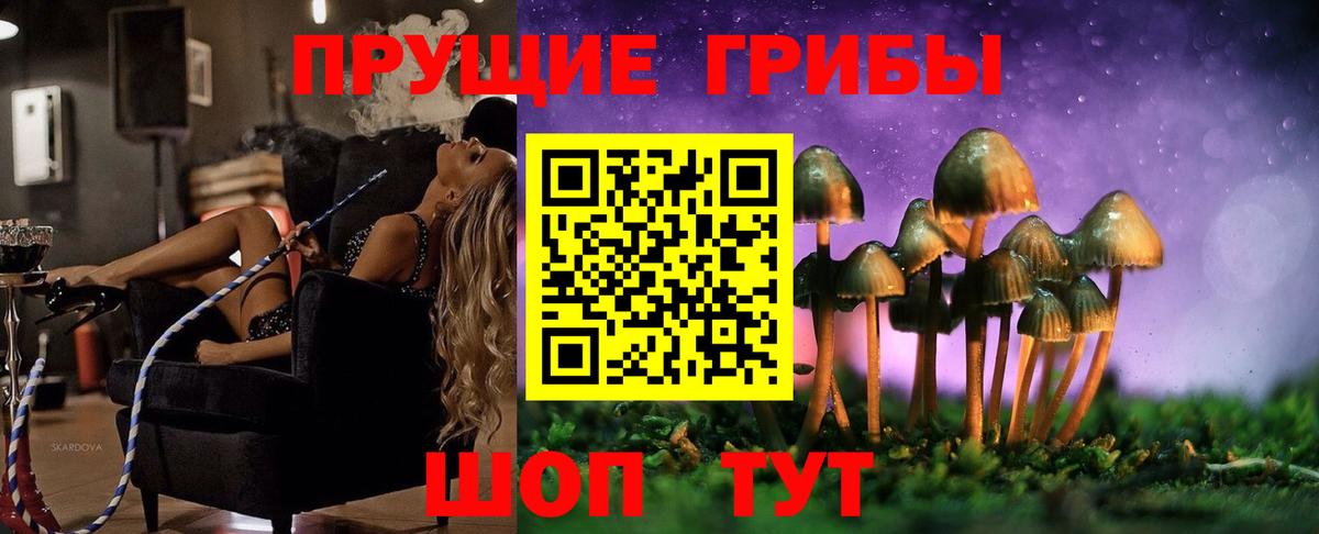 Псилоцибиновые грибы мухоморы Волоколамск