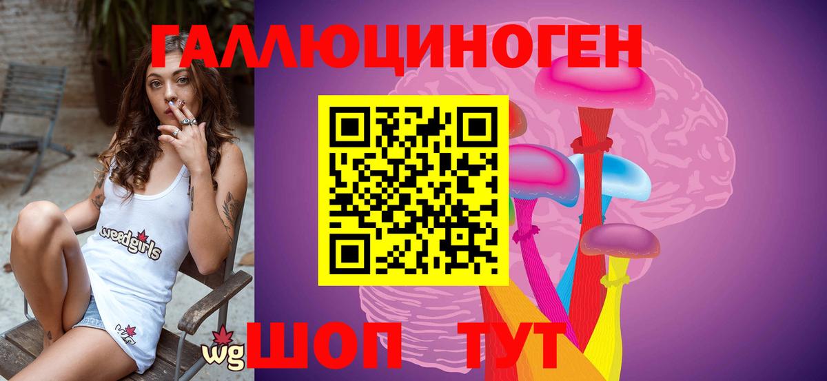 Псилоцибиновые грибы Cubensis  Вход с VPN  Волоколамск 